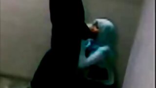 სვინგერის წვეულება,  ...
