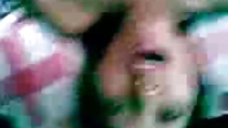 დახვეწილი კოლეჯის გო ...