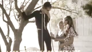 სექსუალური მეძავი ბა ...