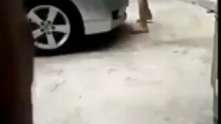 გოჭის კუდიანი წიწილა ...