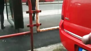 გოჭისებრი იაპონელი ქ ...